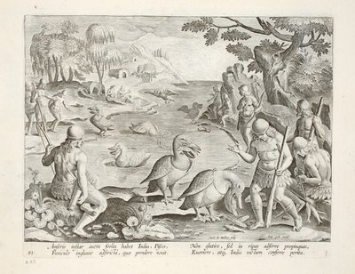 Halbnackte Wilde Indiens verwenden Pelikane zum Fischfang, Tafel 91, Illustration aus 